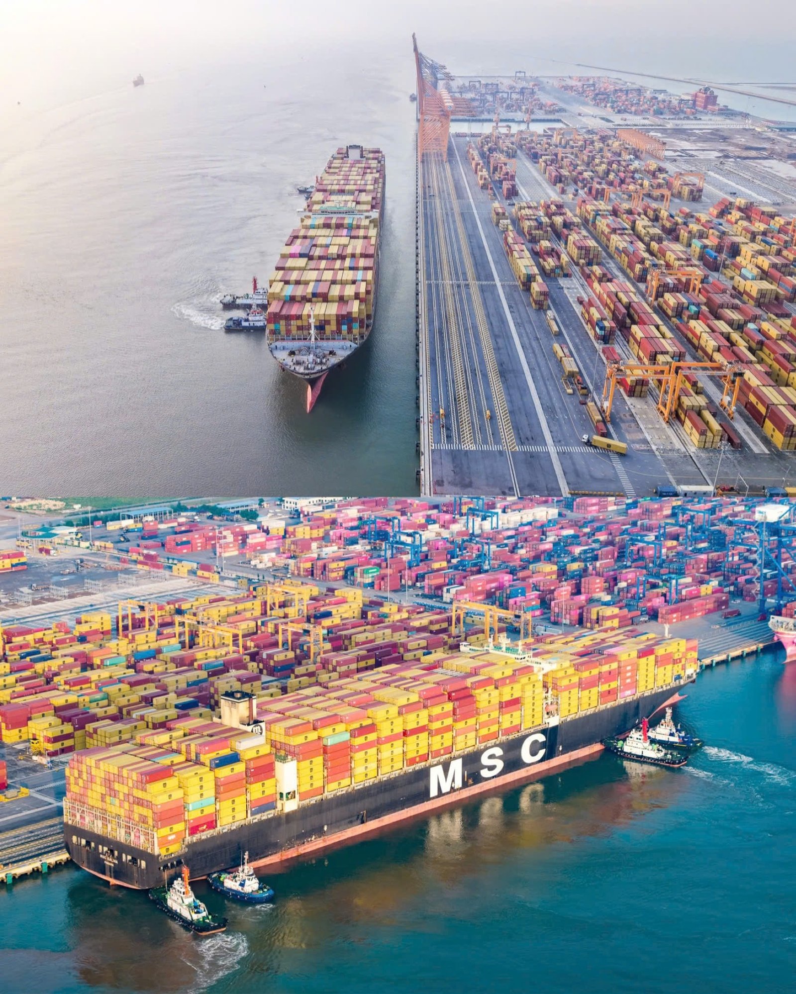 Luminex Logistics 552436117 1410798277712489 6916479617367817385 n
