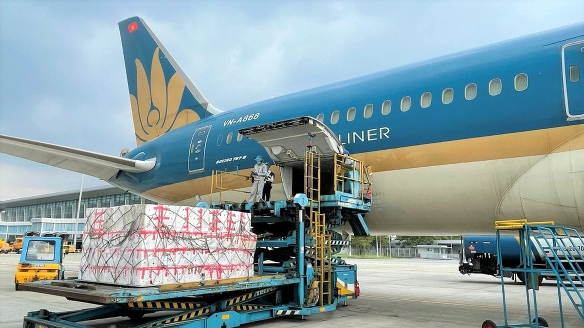 Luminex Logistics may bay cho hang hoa 13062021